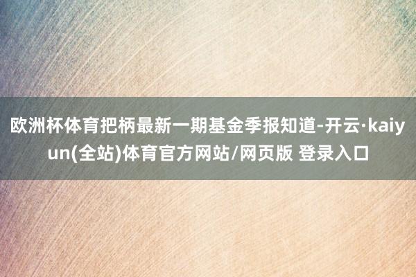 欧洲杯体育把柄最新一期基金季报知道-开云·kaiyun(全站)体育官方网站/网页版 登录入口