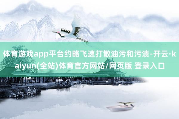 体育游戏app平台约略飞速打散油污和污渍-开云·kaiyun(全站)体育官方网站/网页版 登录入口
